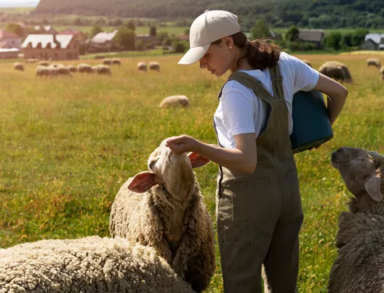 abaissement de taux TVA secteur agricole